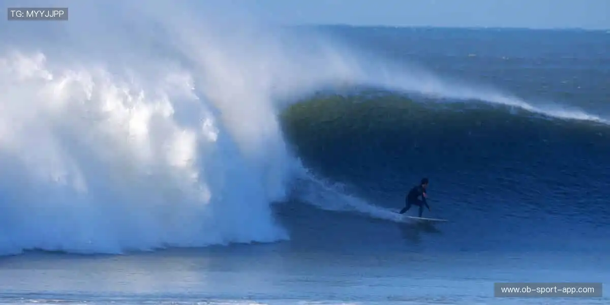 🚀 点击即达,开启你的体育梦想之旅!✨
